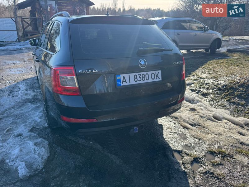 Универсал Skoda Octavia 2015 в Кагарлыке