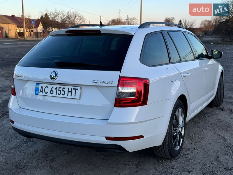 Универсал Skoda Octavia 2018 в Луцке