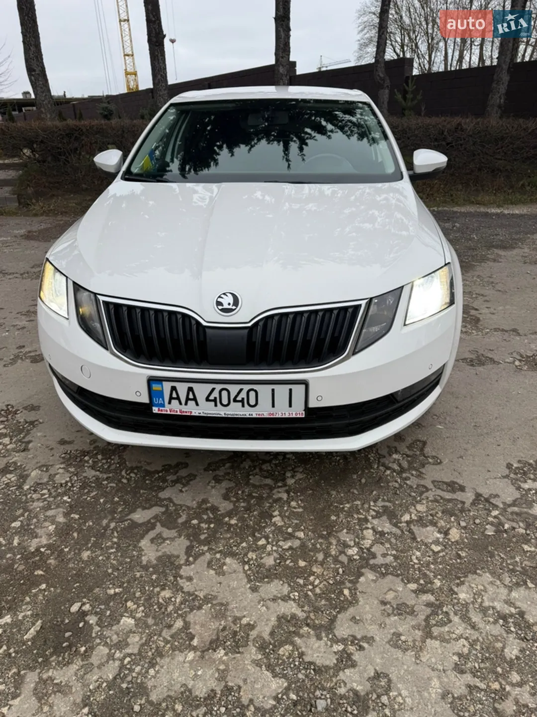 2019 Skoda Octavia - мініатюра 3