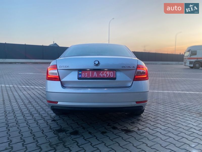 Лифтбек Skoda Octavia 2019 в Луцке