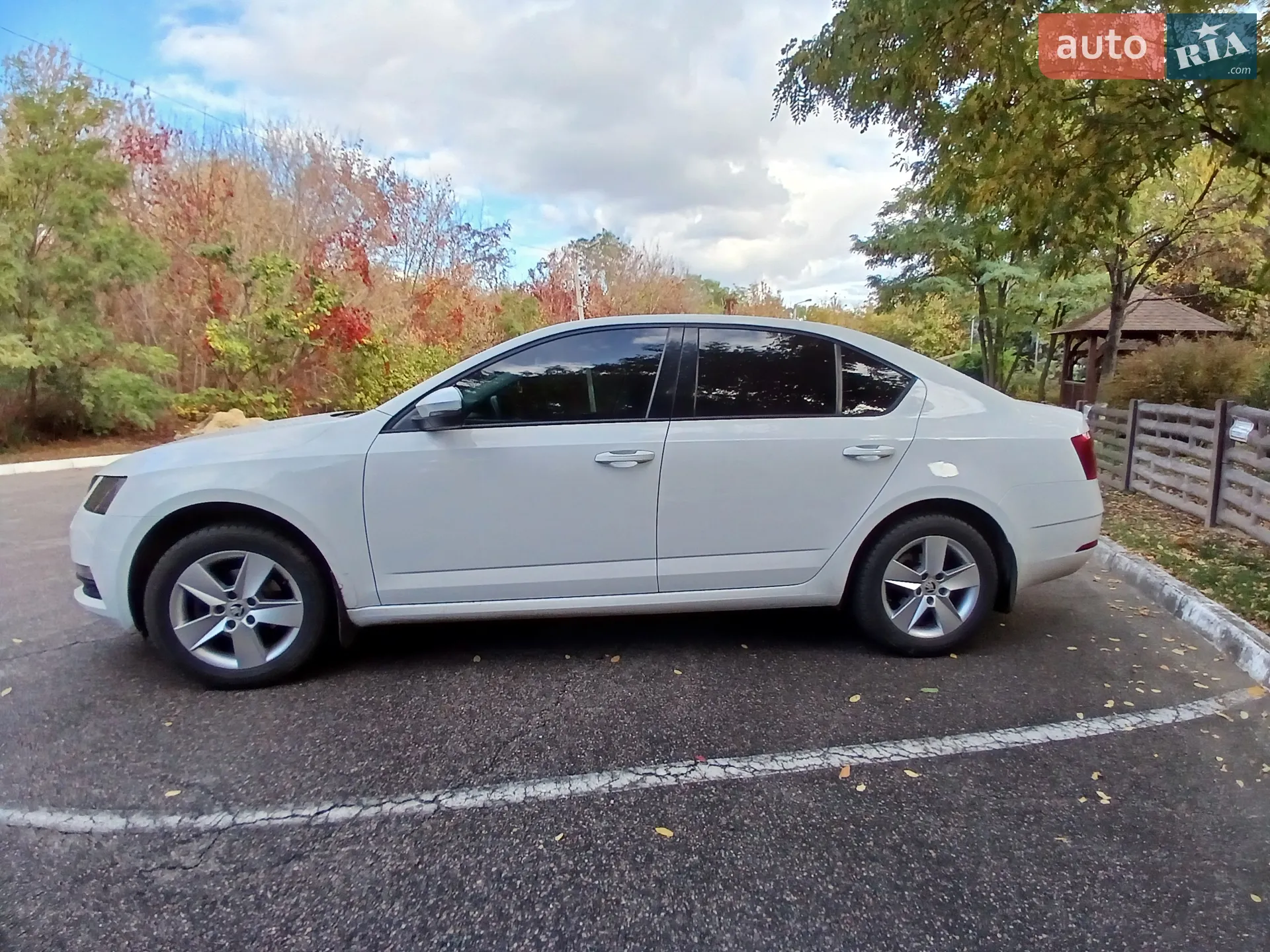 2019 Skoda Octavia - мініатюра 8