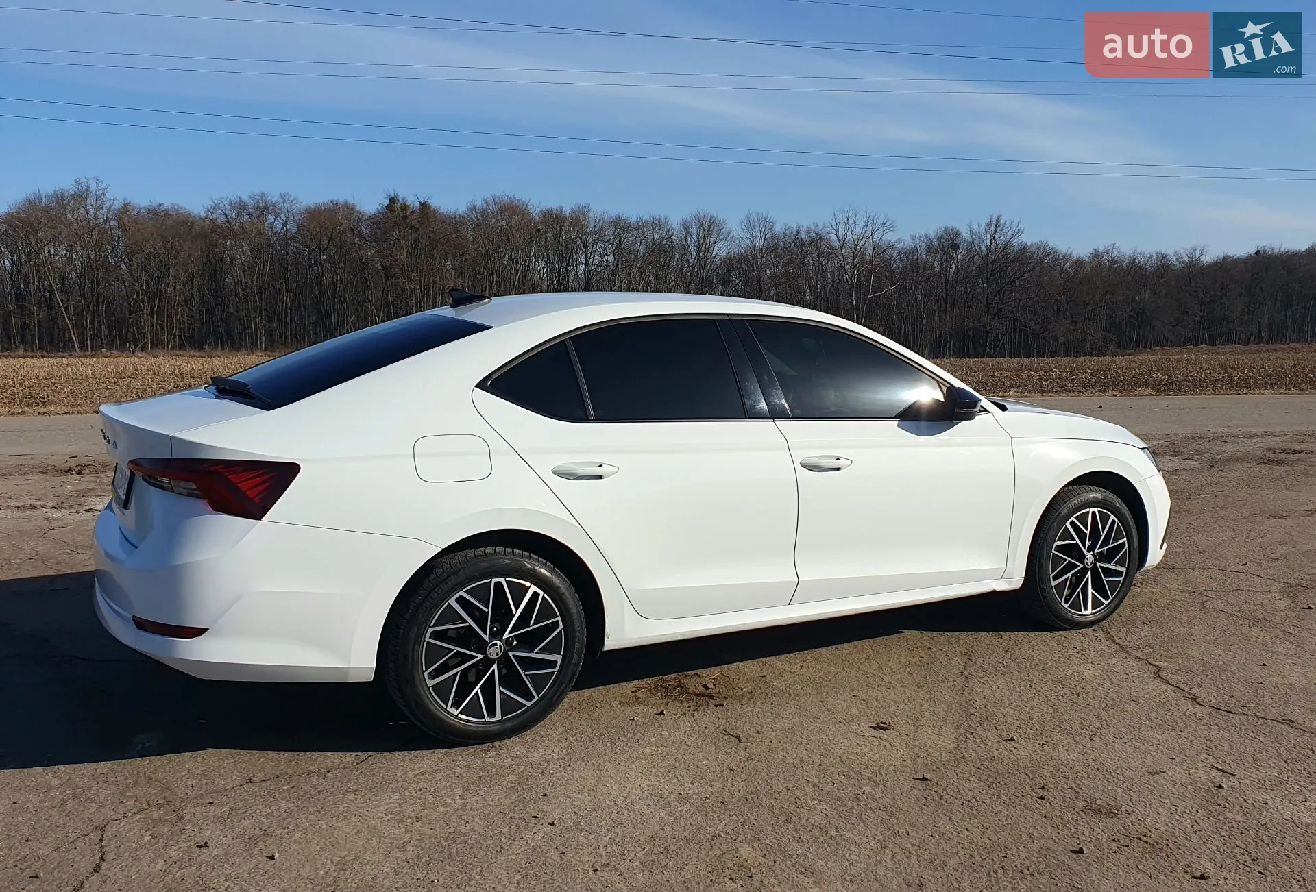 2020 Skoda Octavia - мініатюра 44
