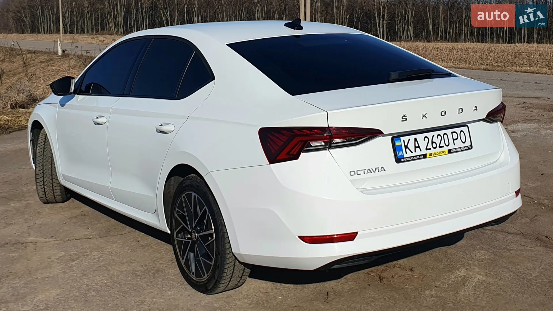 2020 Skoda Octavia - мініатюра 58