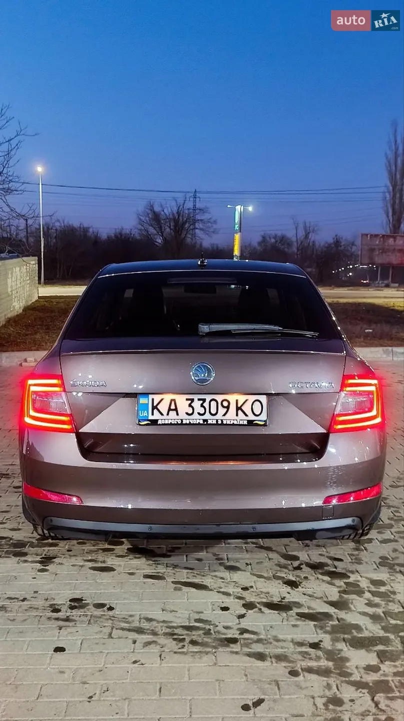 2013 Skoda Octavia - мініатюра 4