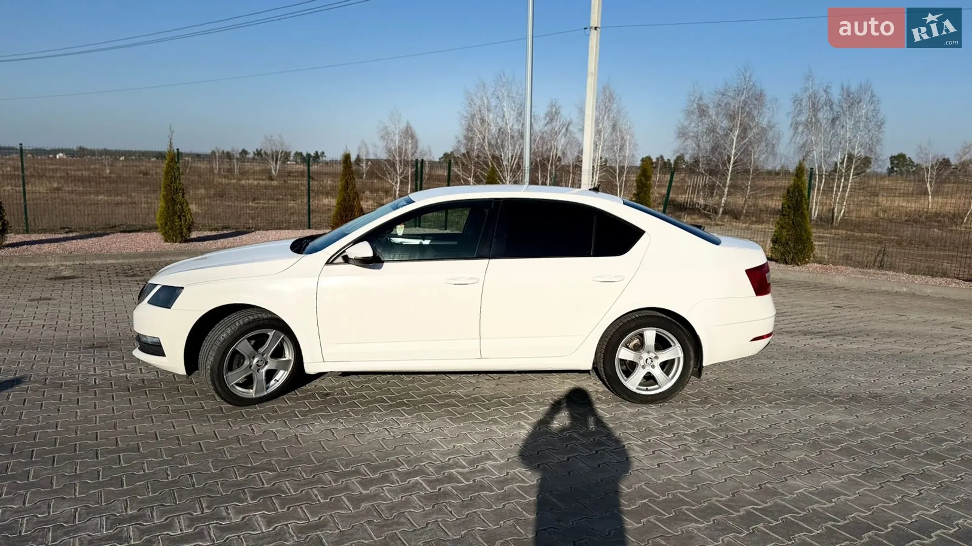 2019 Skoda Octavia - мініатюра 7