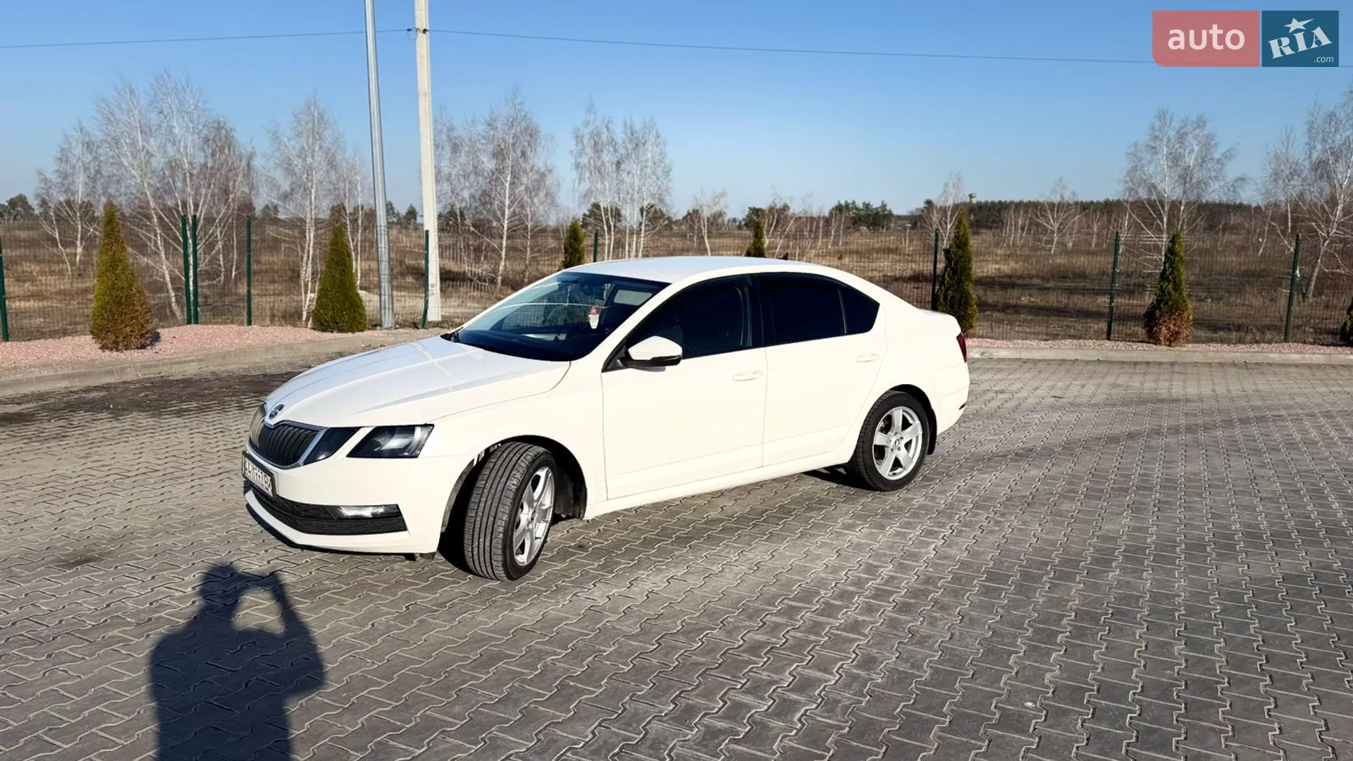 2019 Skoda Octavia - мініатюра 8