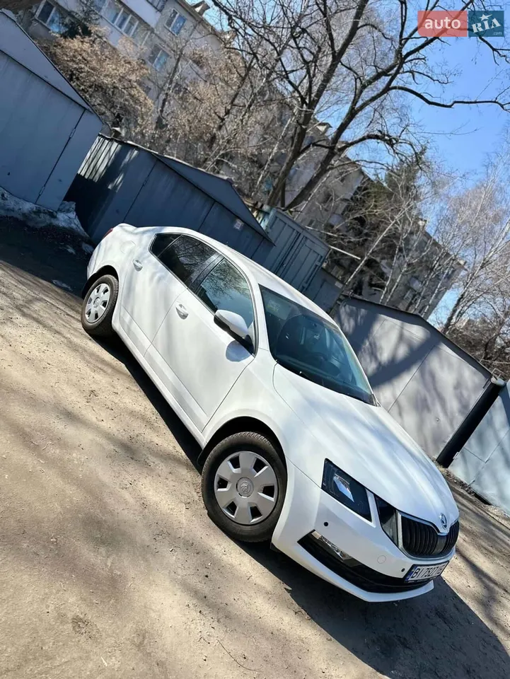 2019 Skoda Octavia - мініатюра 12
