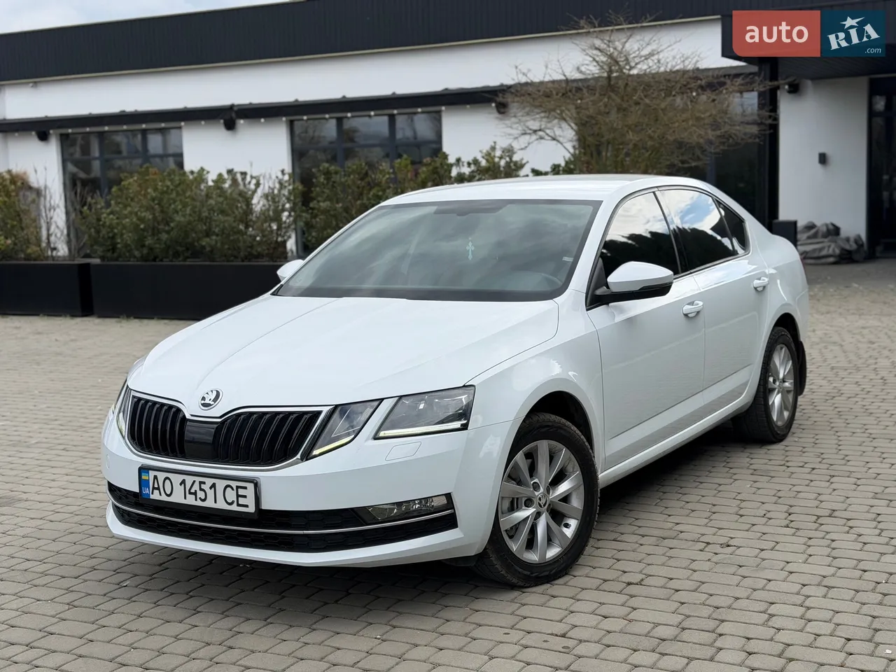 2019 Skoda Octavia - мініатюра 11