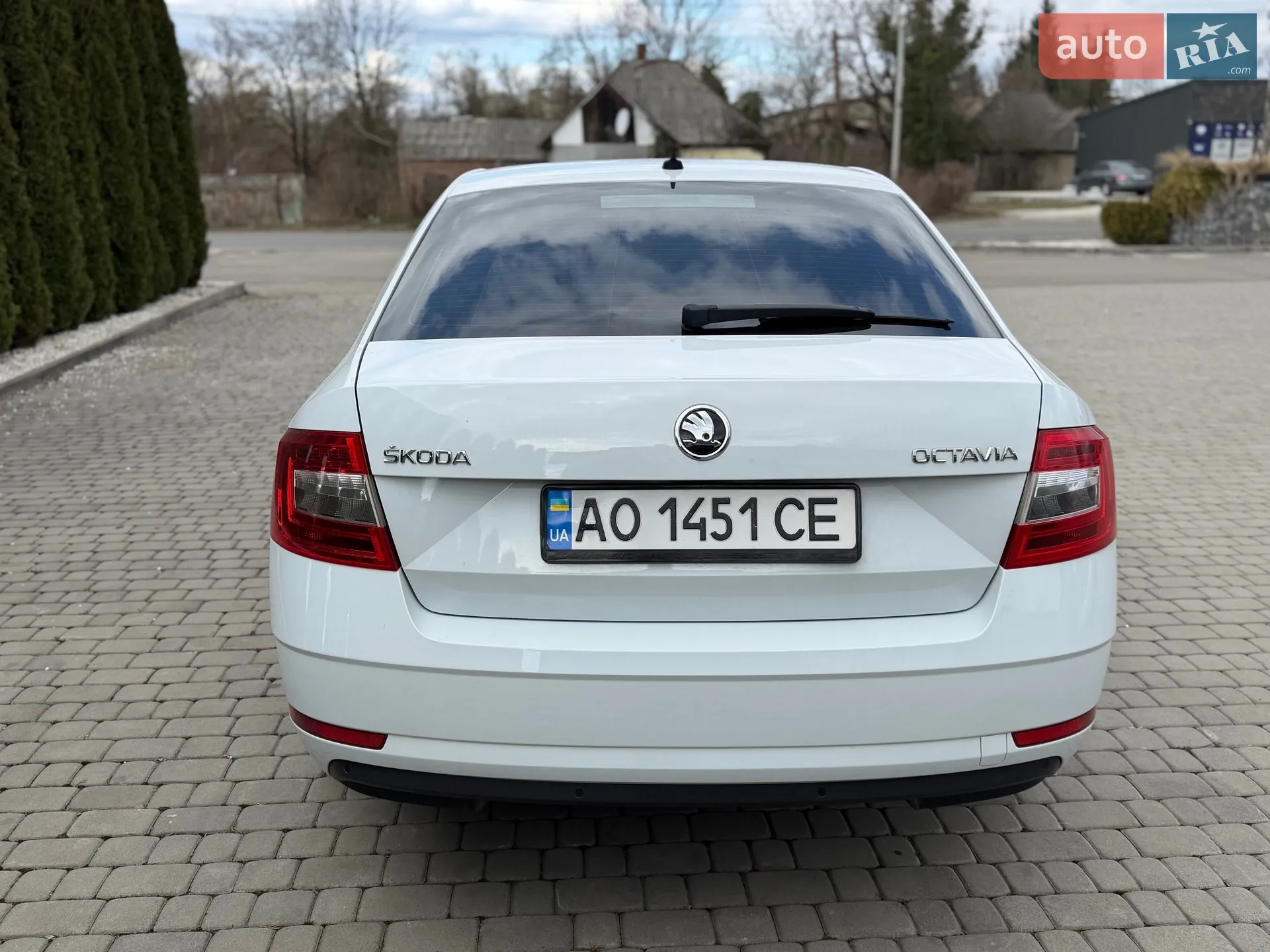 2019 Skoda Octavia - мініатюра 10