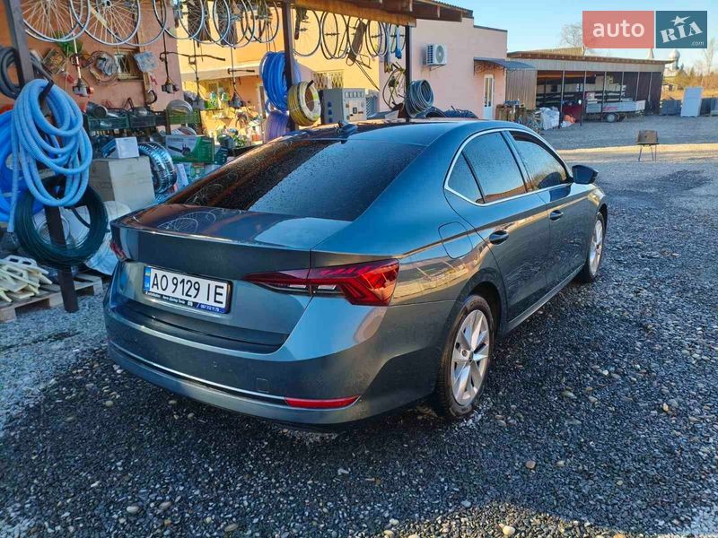 Ліфтбек Skoda Octavia 2021 в Виноградові