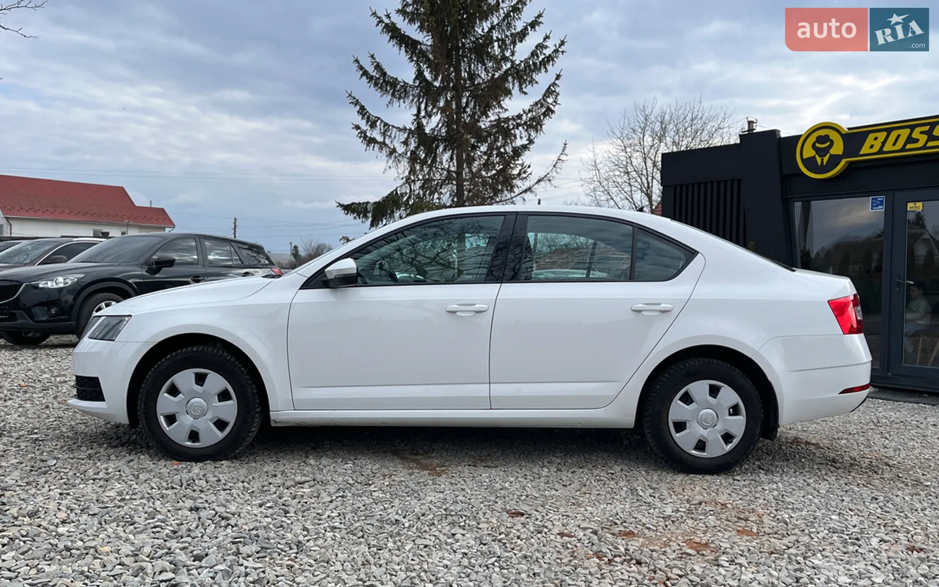 2019 Skoda Octavia - мініатюра 3