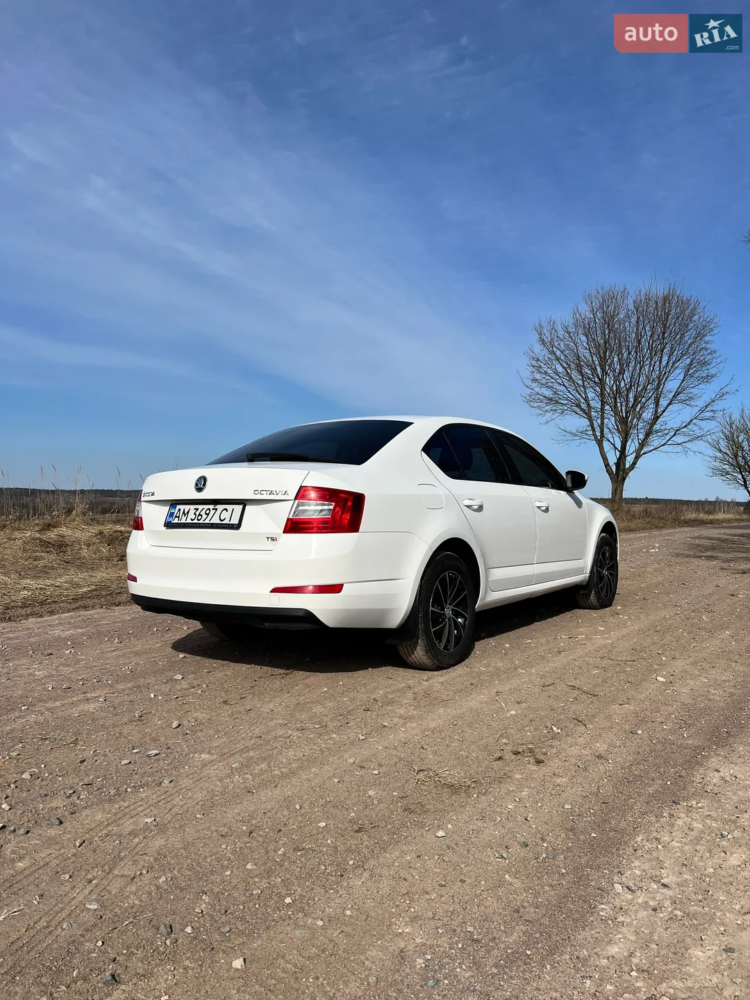 2013 Skoda Octavia - мініатюра 2