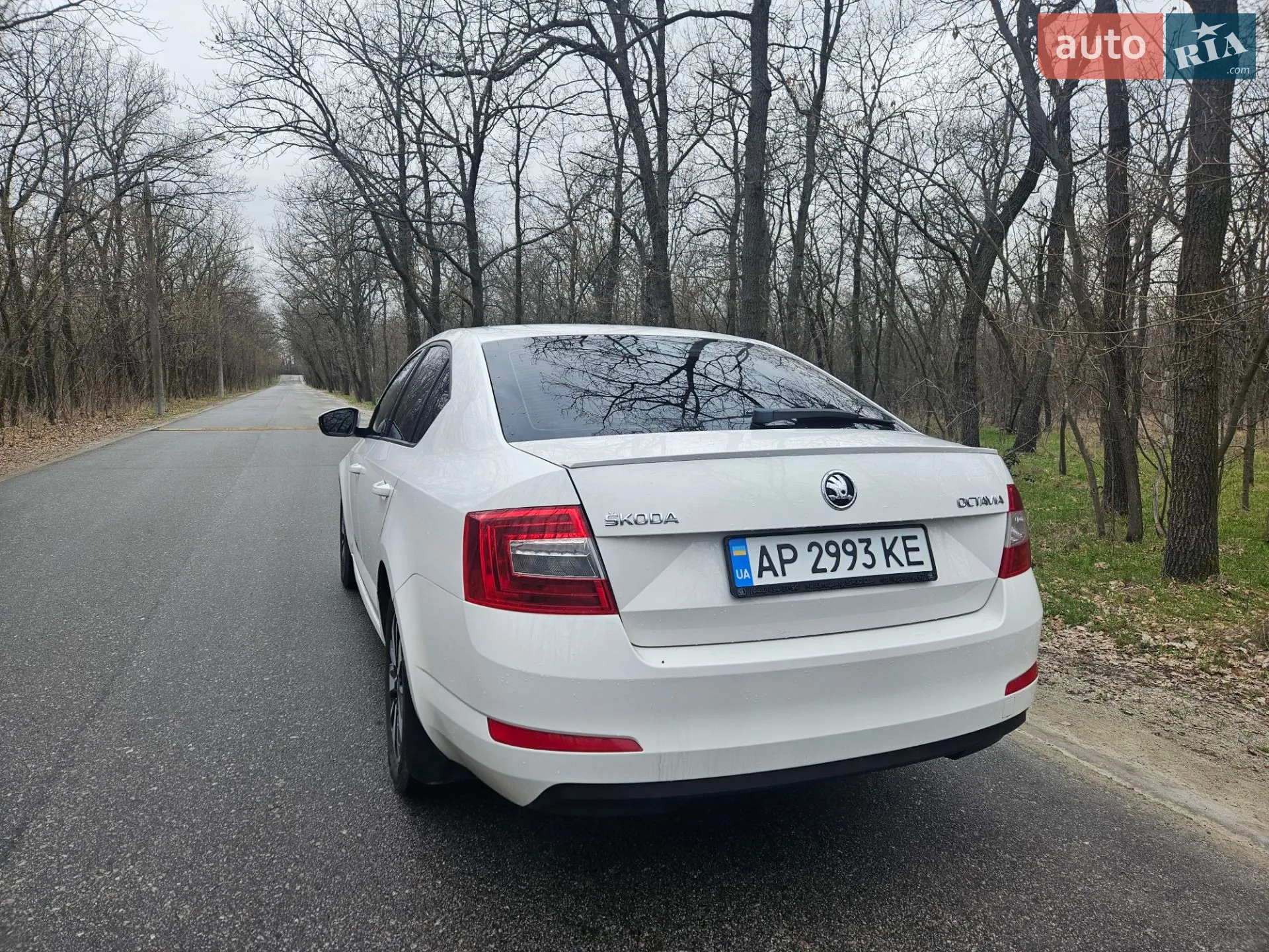 2016 Skoda Octavia - мініатюра 5