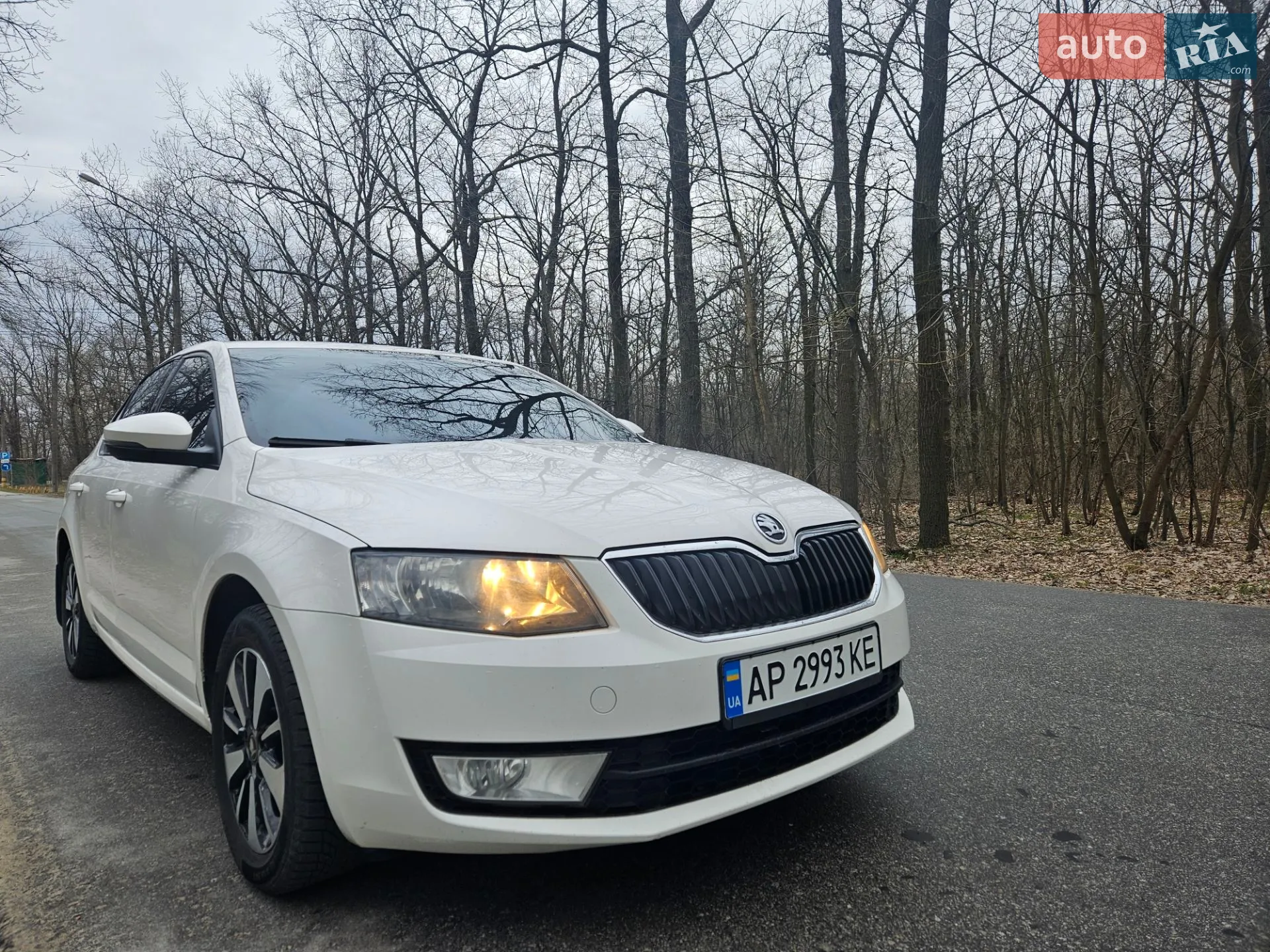 2016 Skoda Octavia - мініатюра 11