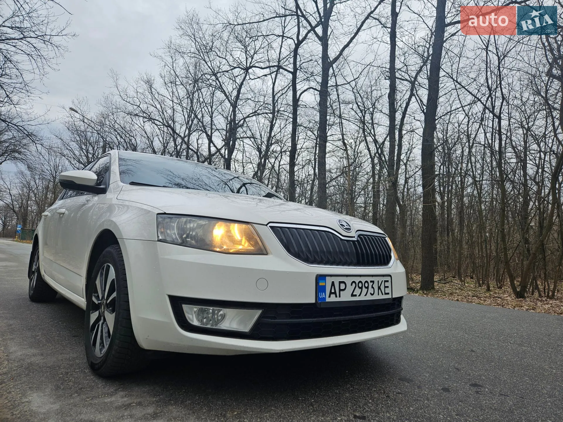 2016 Skoda Octavia - мініатюра 16