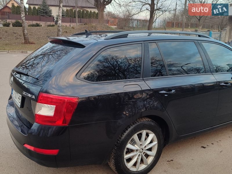 Універсал Skoda Octavia 2014 в Золочеві