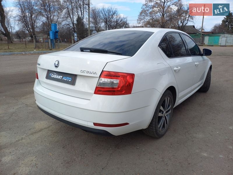 Ліфтбек Skoda Octavia 2018 в Чернігові