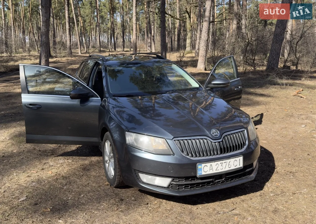 2013 Skoda Octavia - мініатюра 14