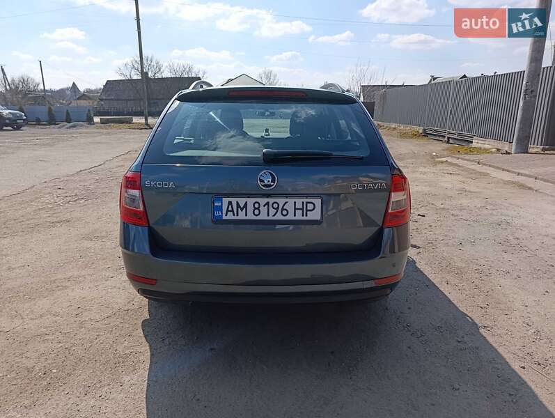 Универсал Skoda Octavia 2018 в Романове