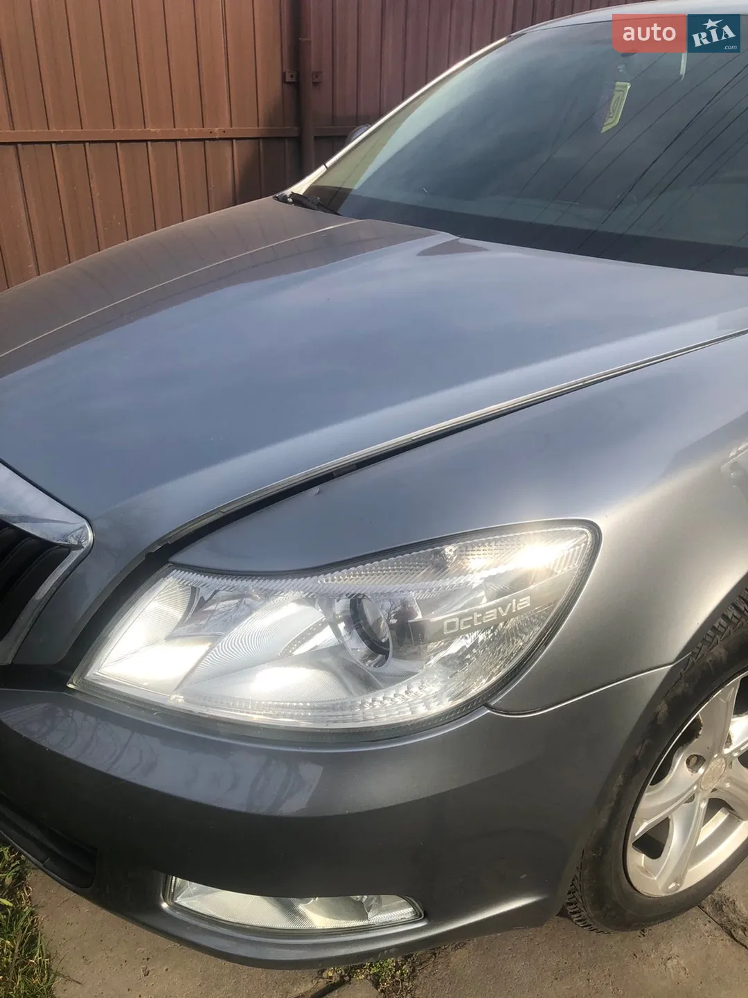 2013 Skoda Octavia - мініатюра 13