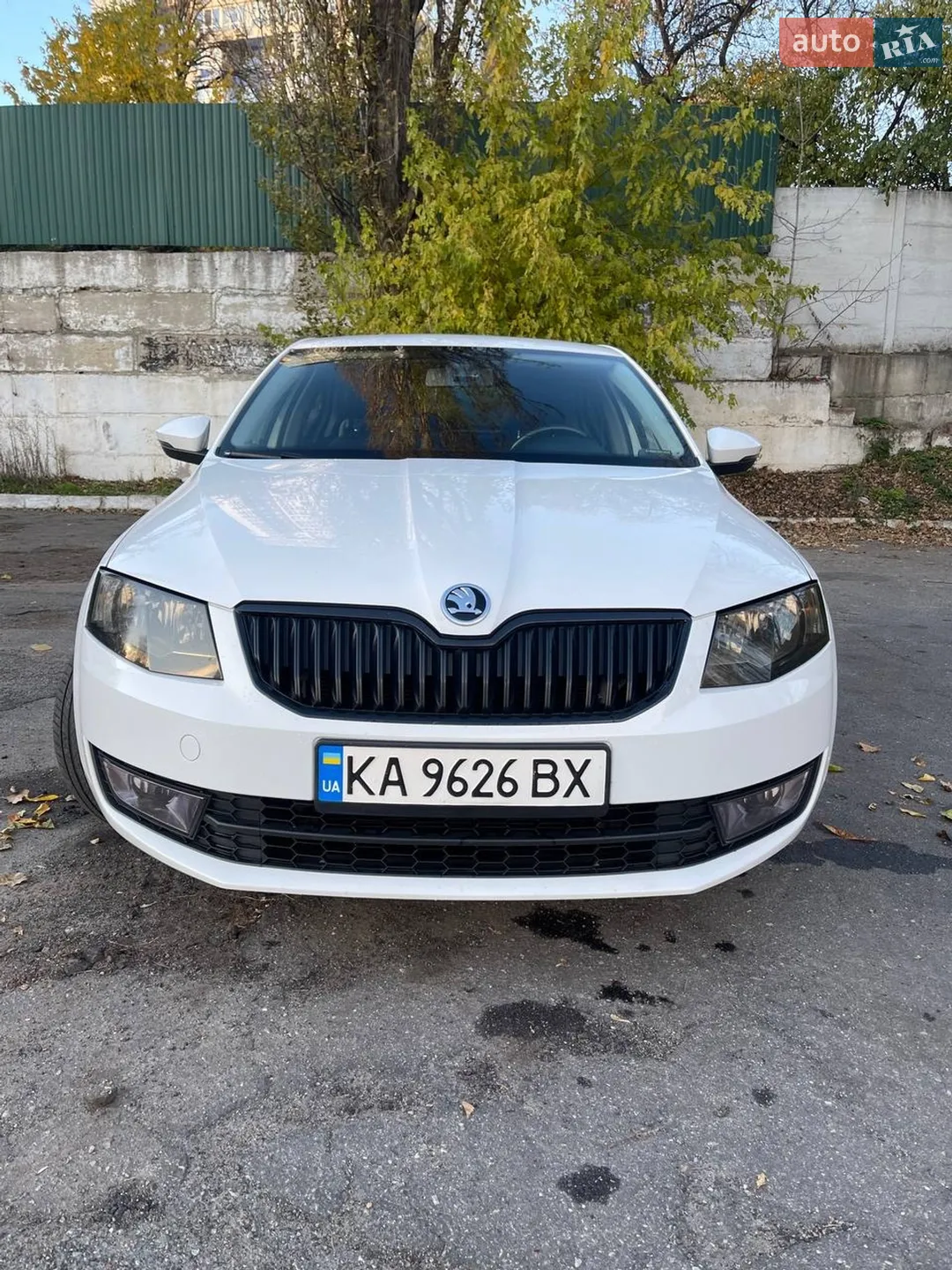 2016 Skoda Octavia - мініатюра 6
