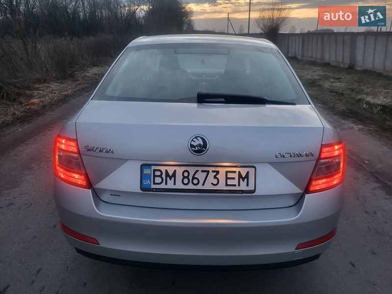 Лифтбек Skoda Octavia 2013 в Шостке