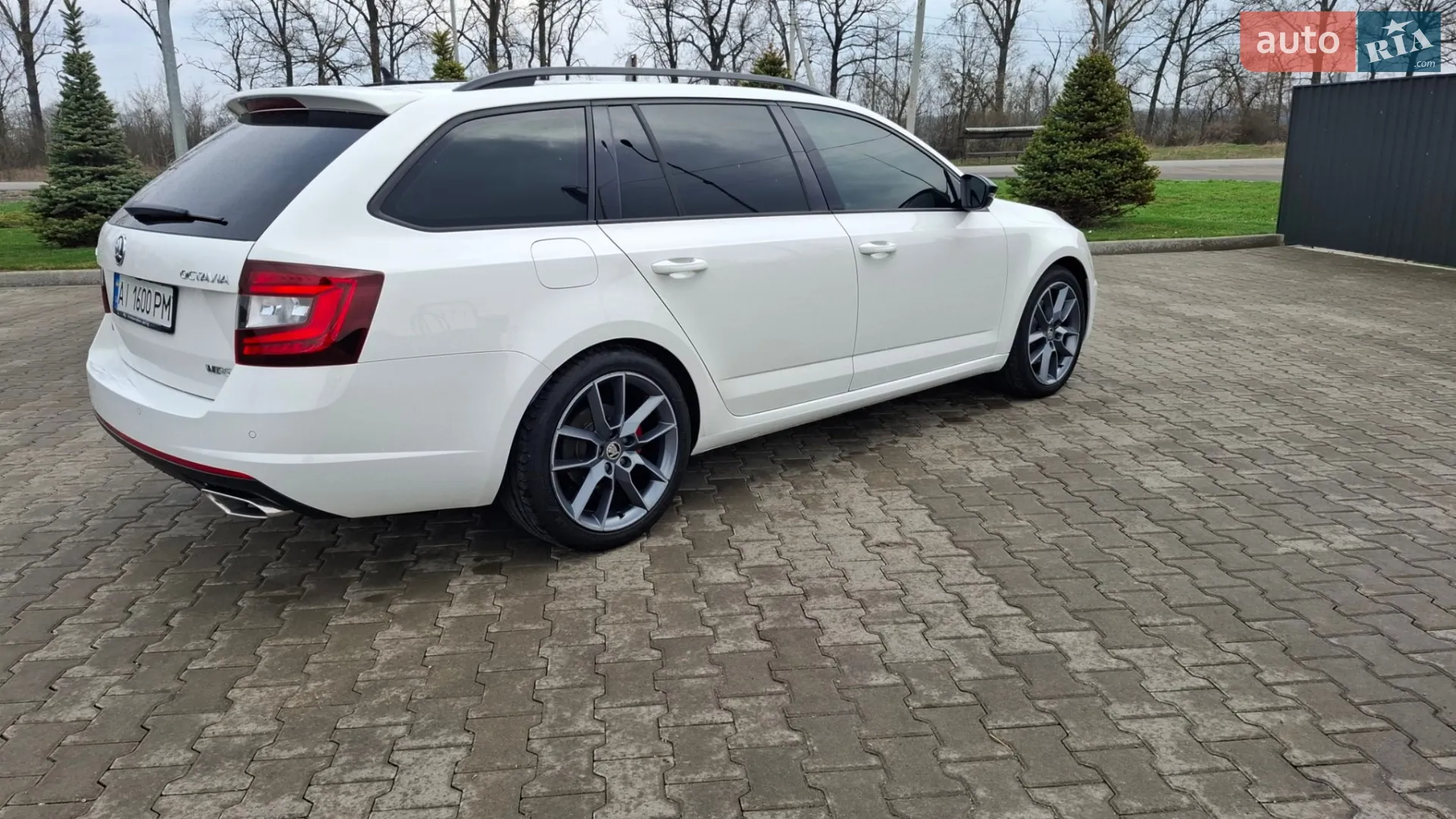 2019 Skoda Octavia - мініатюра 33