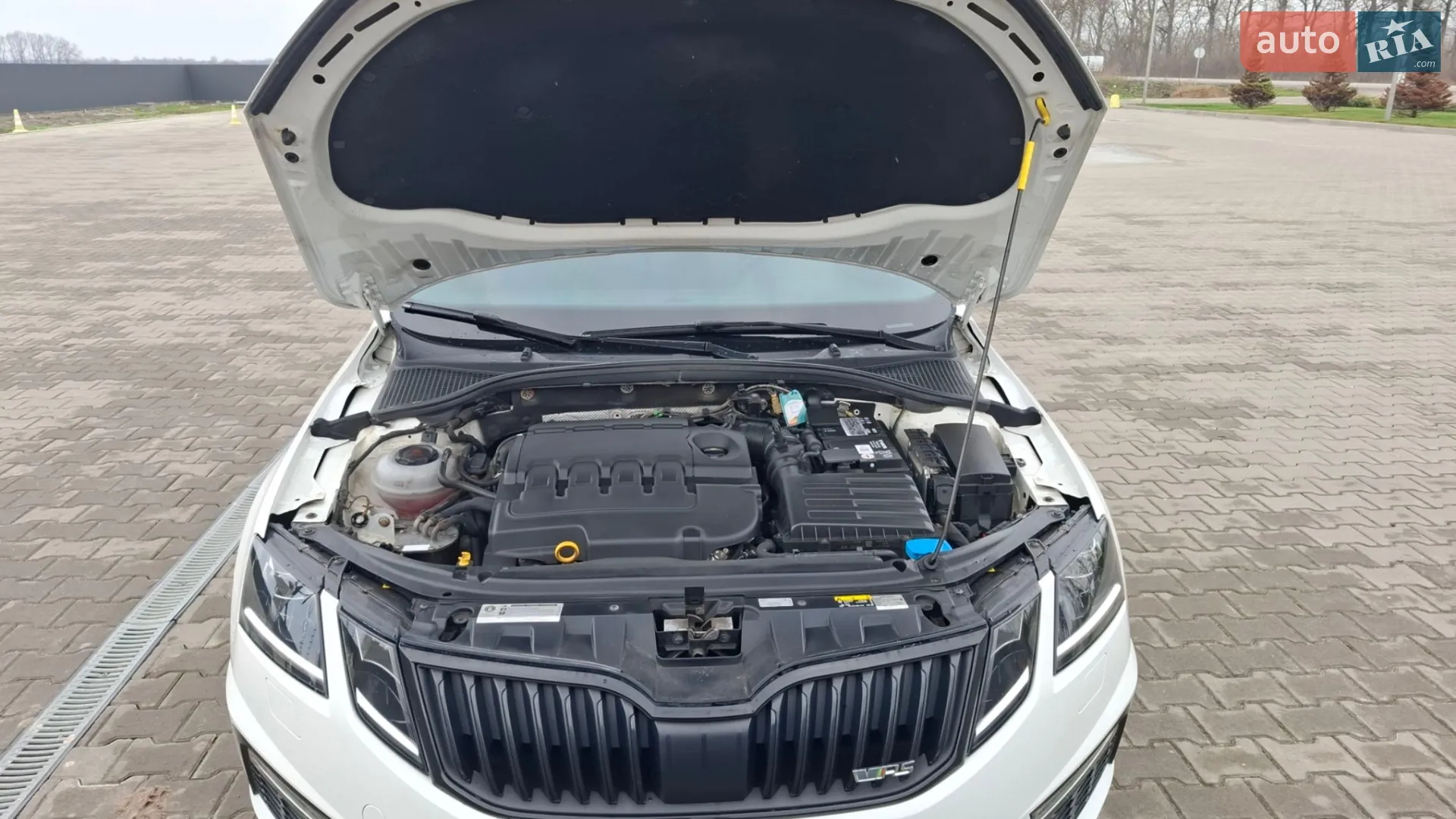 2019 Skoda Octavia - мініатюра 68