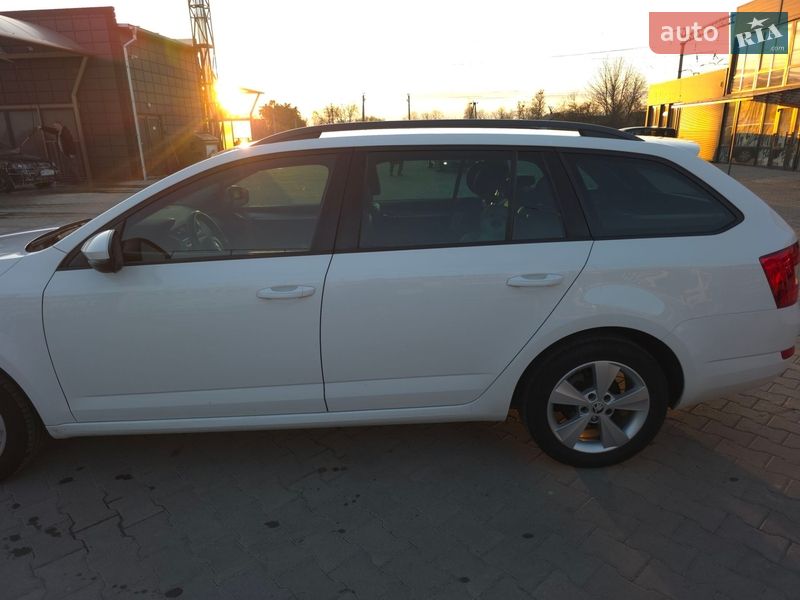 Універсал Skoda Octavia 2014 в Звягелі