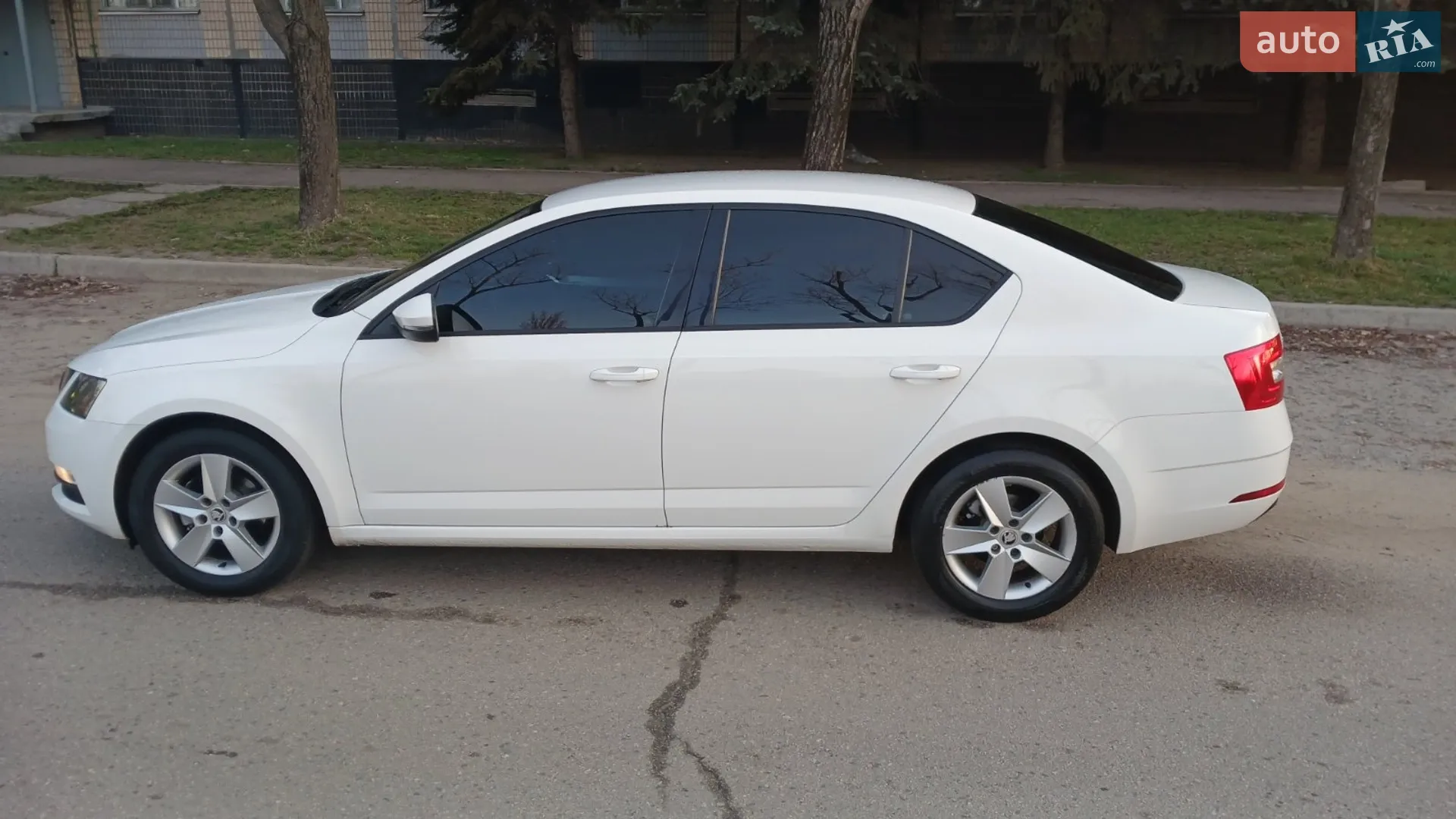 2019 Skoda Octavia - мініатюра 4