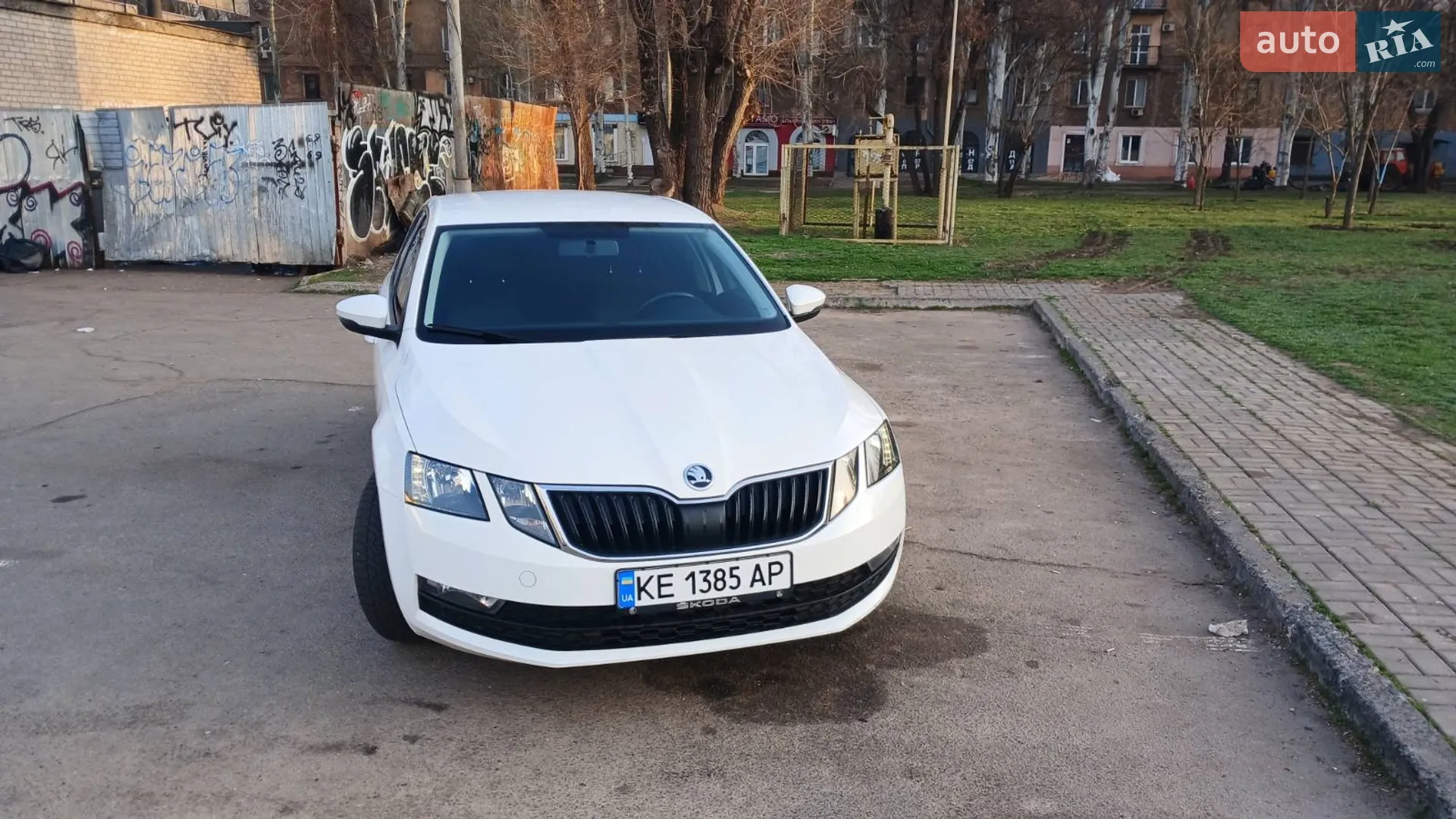 2019 Skoda Octavia - мініатюра 6