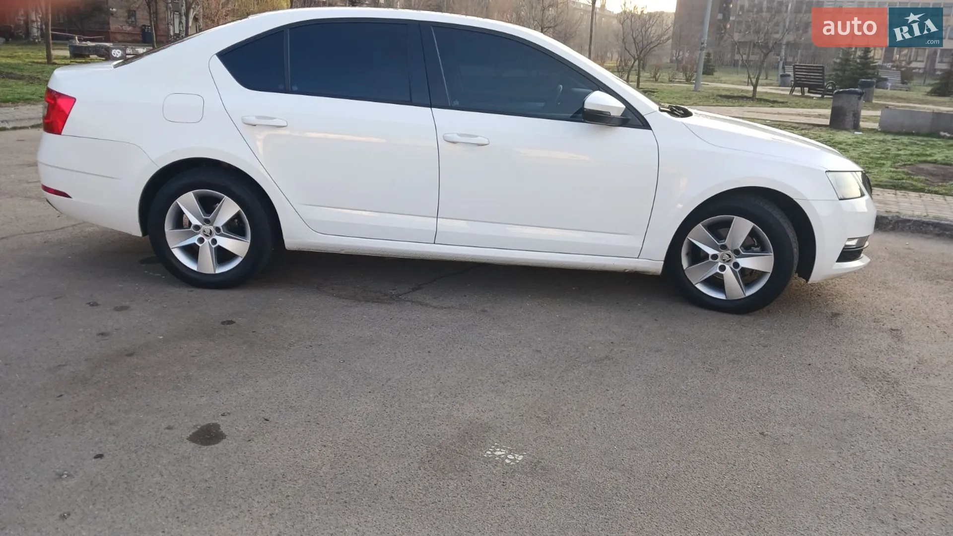 2019 Skoda Octavia - мініатюра 7