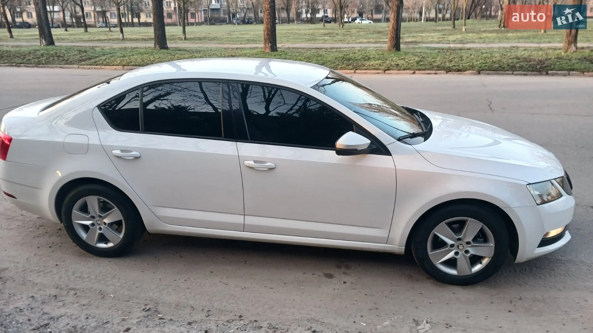 2019 Skoda Octavia - мініатюра 8