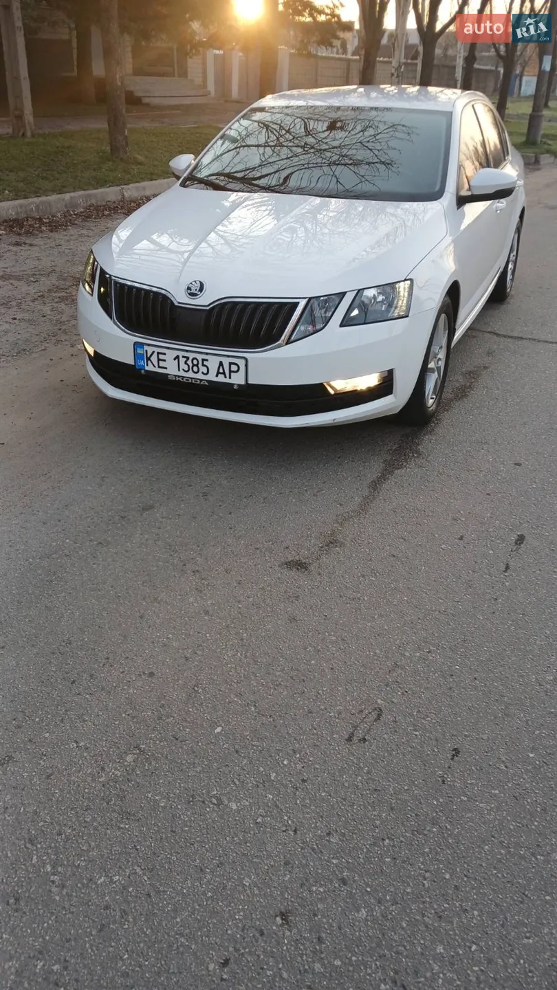 2019 Skoda Octavia - мініатюра 12