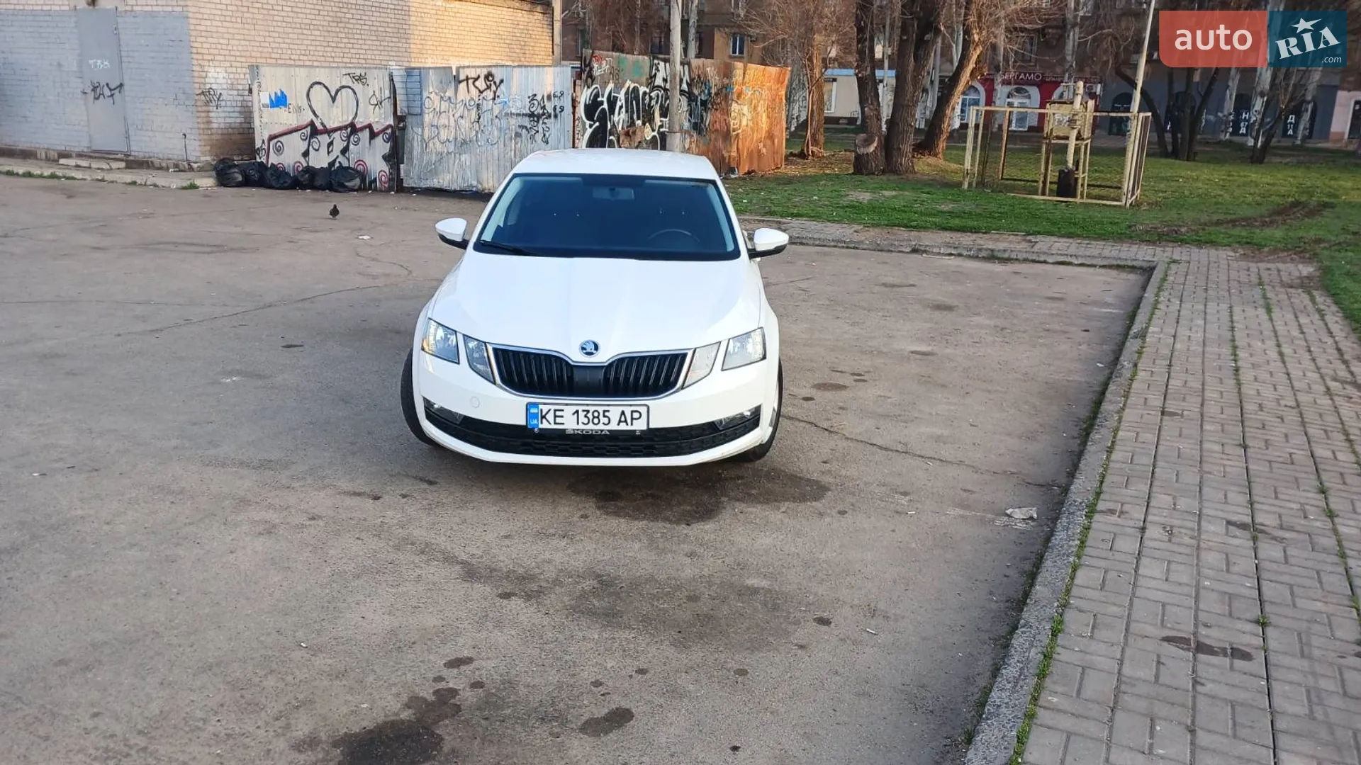 2019 Skoda Octavia - мініатюра 15