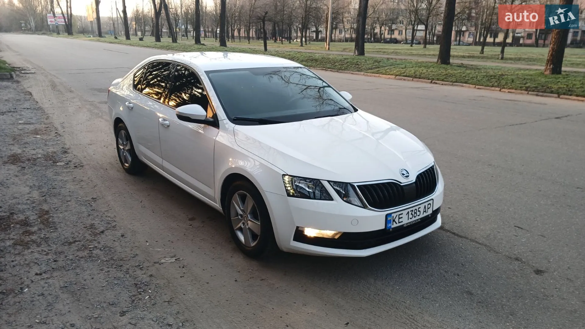2019 Skoda Octavia - мініатюра 19