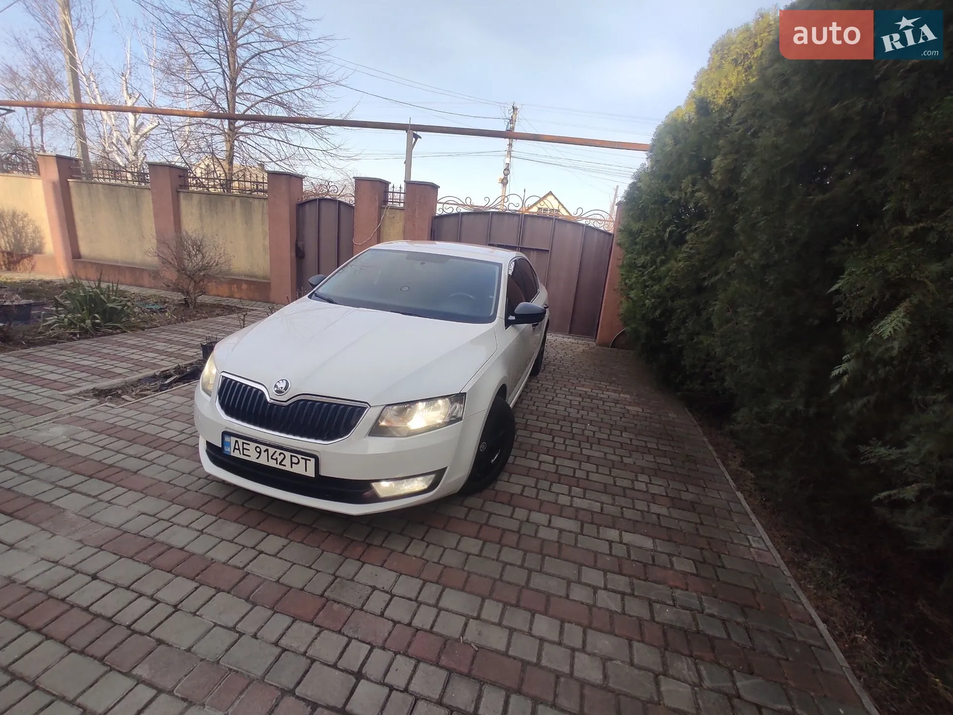 2013 Skoda Octavia - мініатюра 5