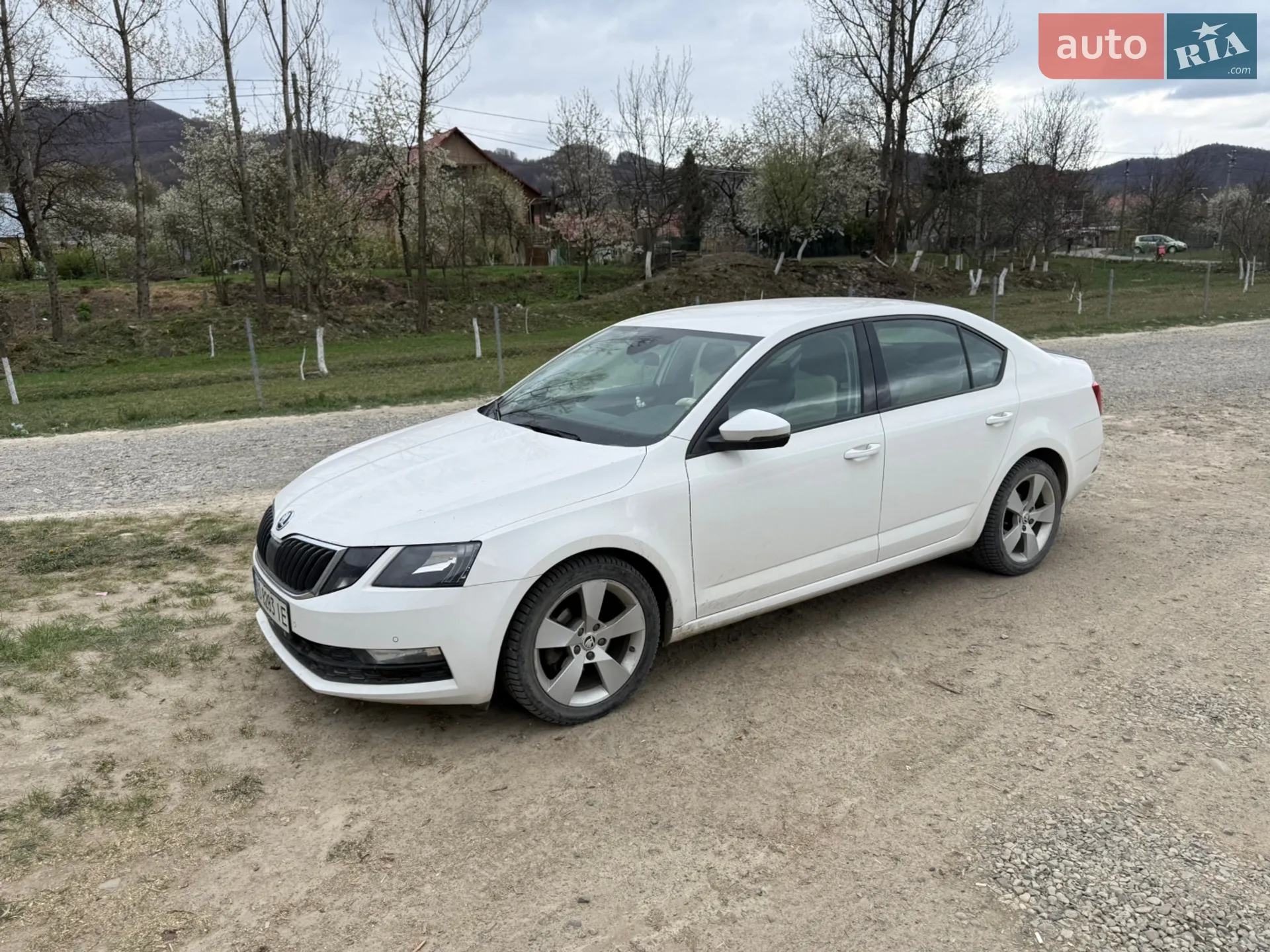 2018 Skoda Octavia - мініатюра 2