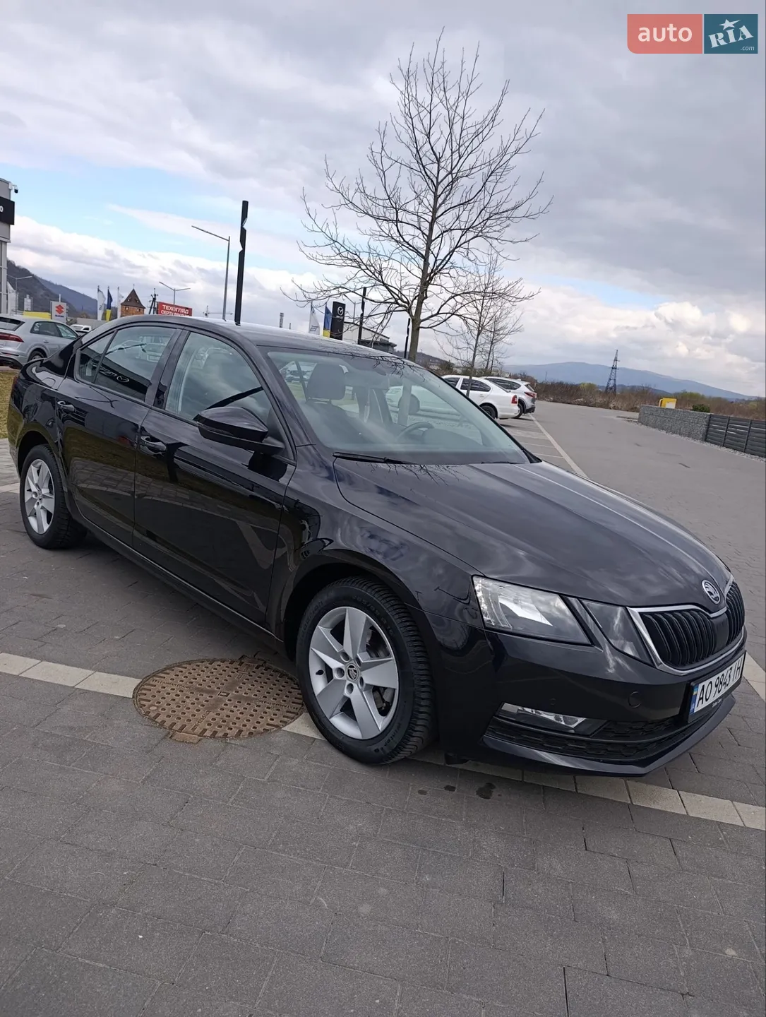 2019 Skoda Octavia - мініатюра 26