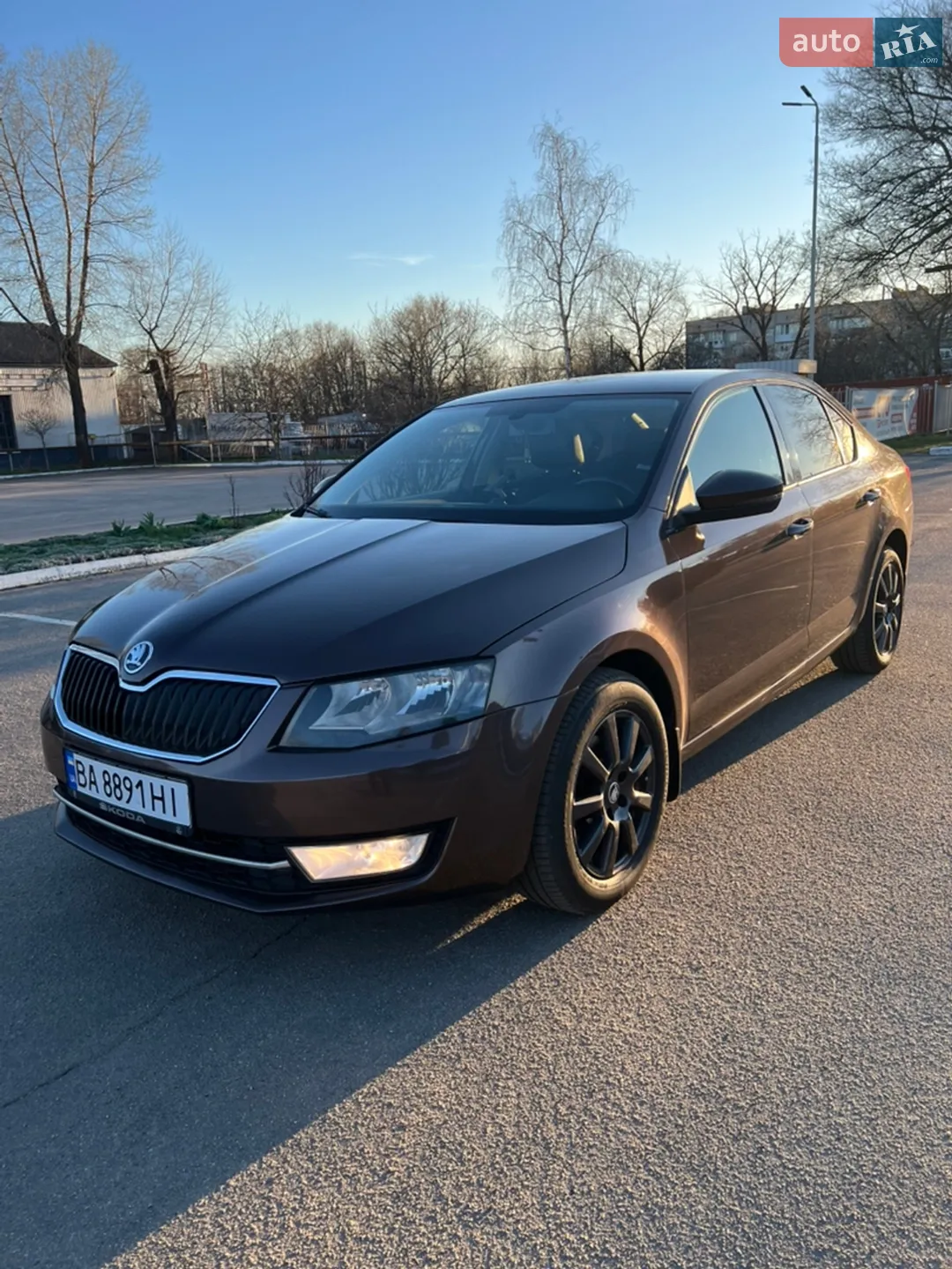 2014 Skoda Octavia - мініатюра 11