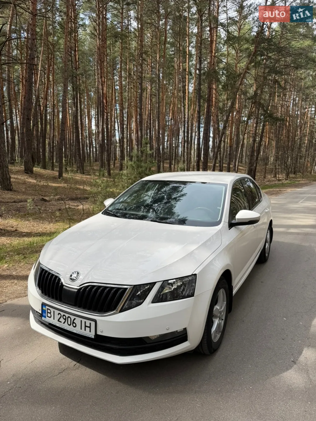 2019 Skoda Octavia - мініатюра 4