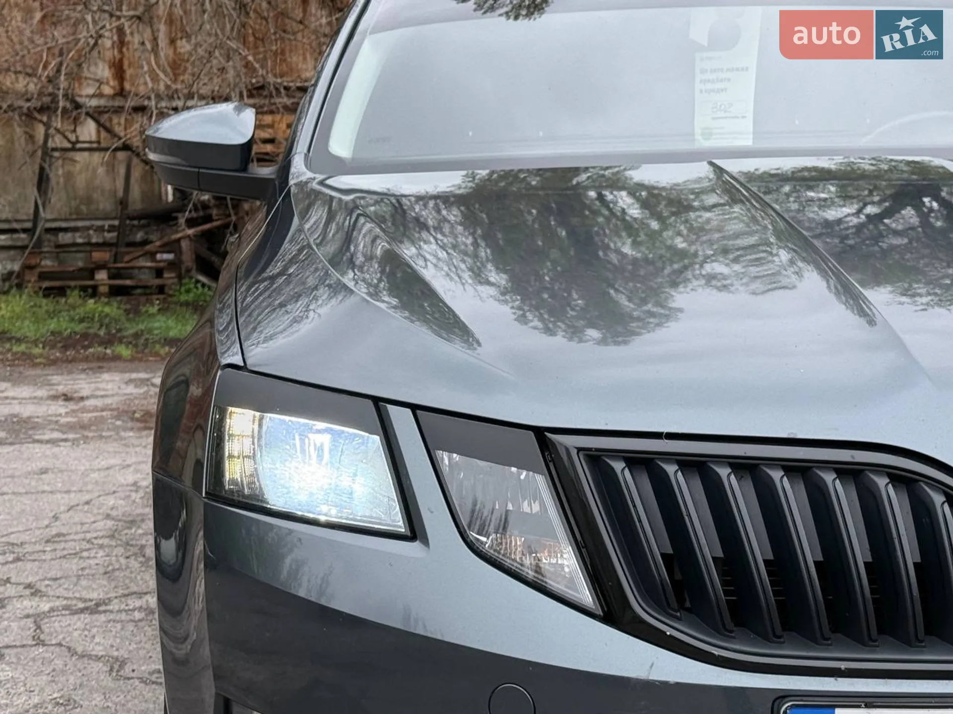 2017 Skoda Octavia - мініатюра 4
