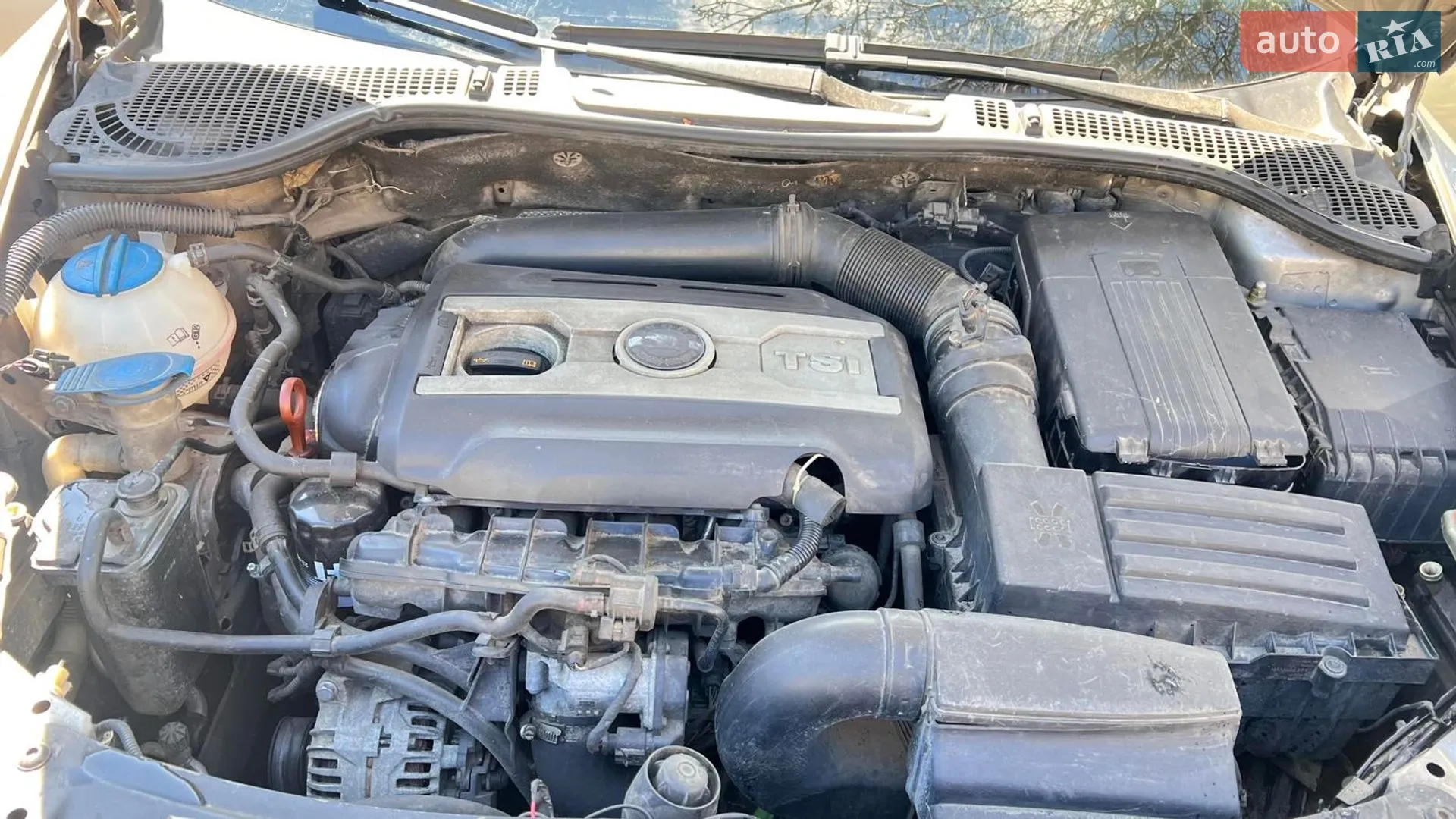 2010 Skoda Octavia - мініатюра 17