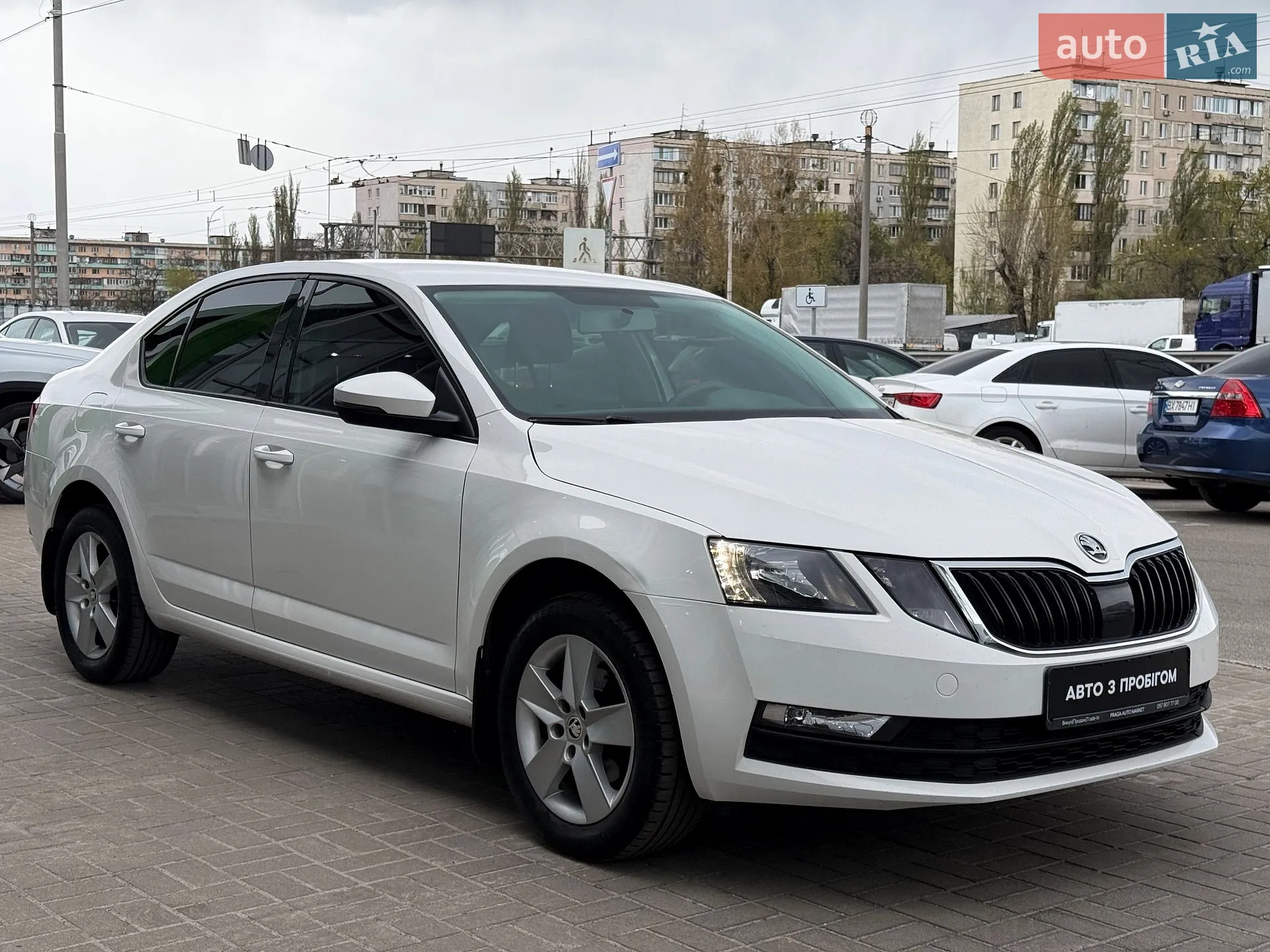 2019 Skoda Octavia - мініатюра 8