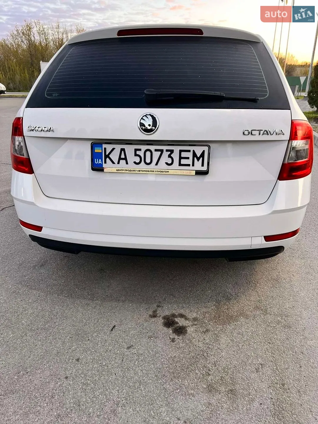 2017 Skoda Octavia - мініатюра 6