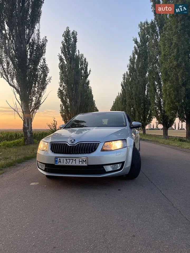 2013 Skoda Octavia - мініатюра 27