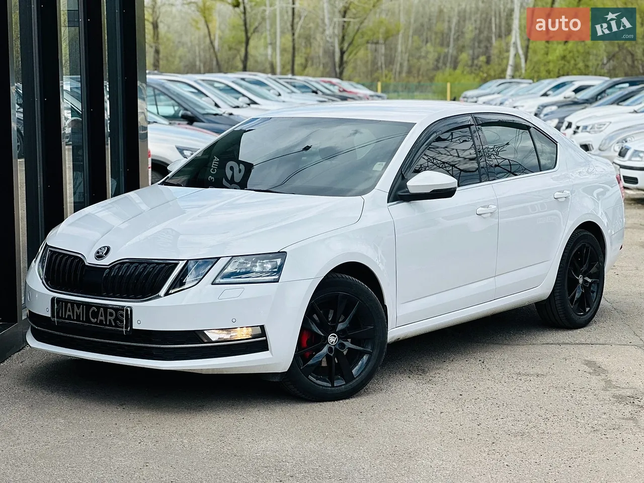 2018 Skoda Karoq - мініатюра 58