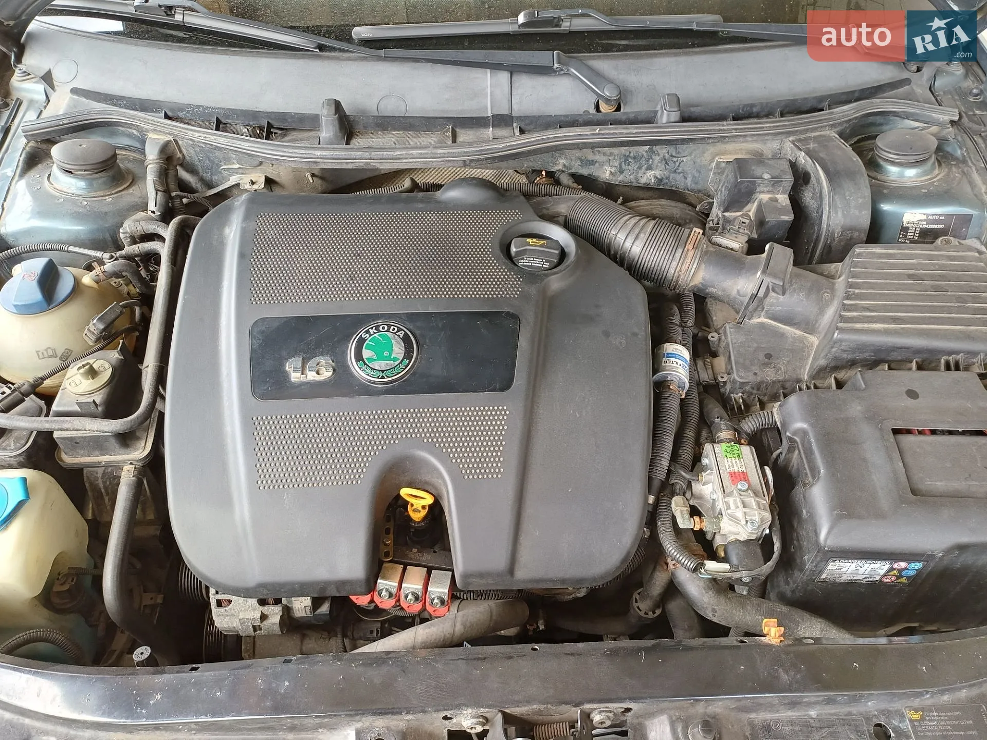 Skoda Octavia 2004 VIN TMBHX21U942886390 фото оголошення 12 з 17