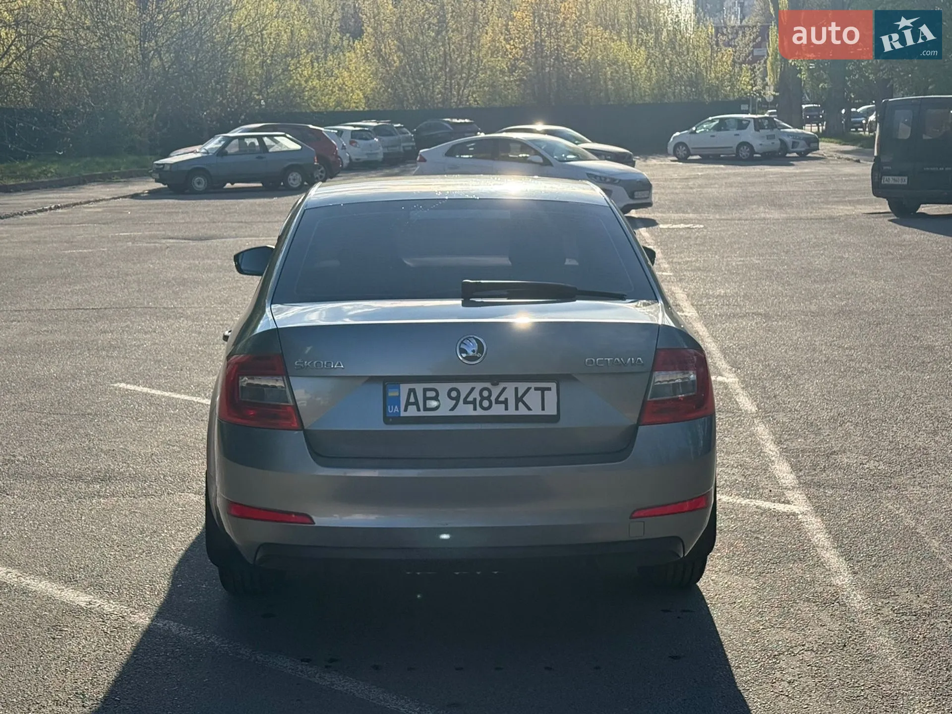 2013 Skoda Octavia - мініатюра 9