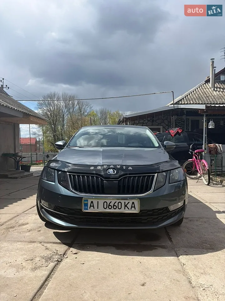 2016 Skoda Octavia - мініатюра 26